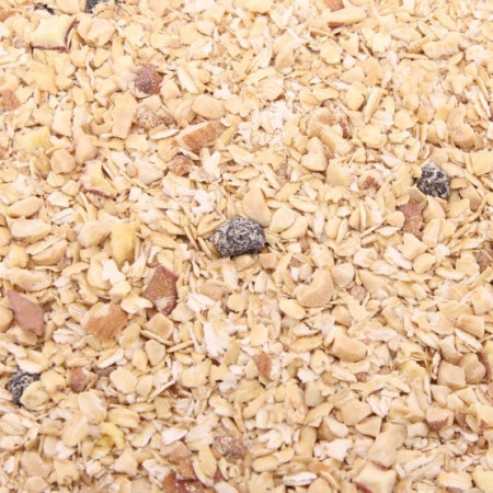 Granola con Tagatosa 500 g