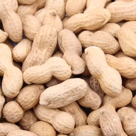 Maní con Cáscara Tostado 250 g