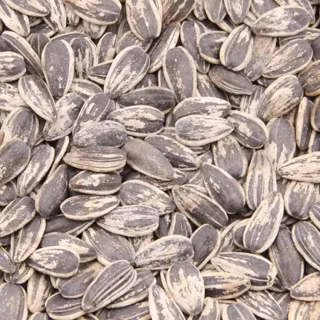 Maravilla (Girasol) con Cáscara Saladas 250 g