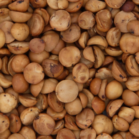 Avellanas Chilenas Tostadas 100 g
